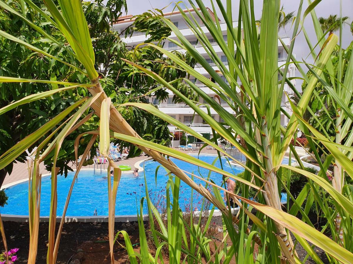 Spectacular Renovated Apartment, 5 Min To Camison Beach, With Aircon Arona  Exteriör bild